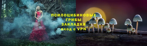 apvp Гусиноозёрск