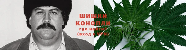 apvp Гусиноозёрск