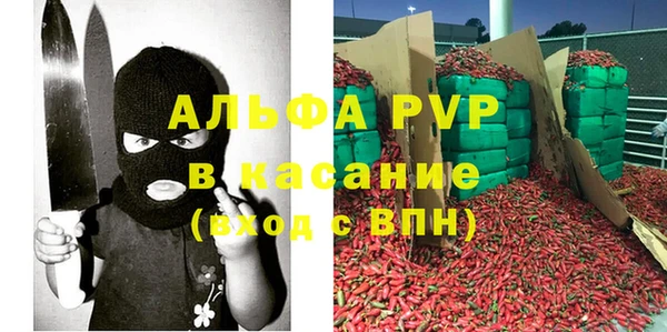 apvp Гусиноозёрск