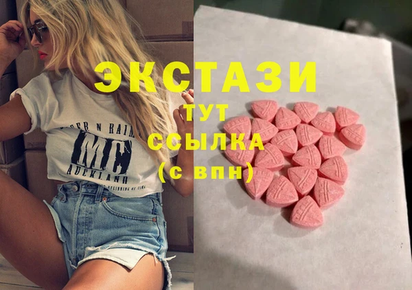 apvp Гусиноозёрск