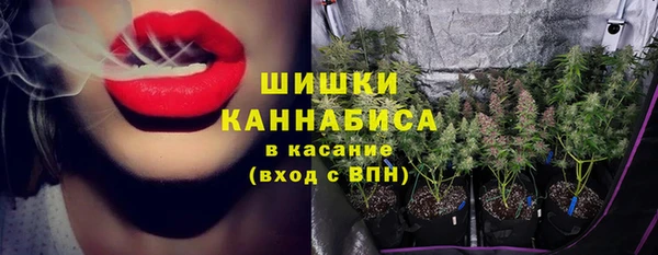 apvp Гусиноозёрск