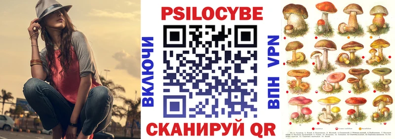 Псилоцибиновые грибы Psilocybe  shop клад  Мценск  ОМГ ОМГ маркетплейс 