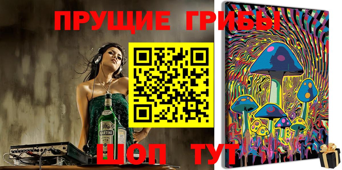 Галлюциногенные грибы GOLDEN TEACHER  Вход с VPN  Мценск 