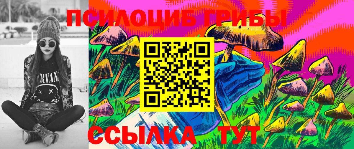 Галлюциногенные грибы мухоморы Мценск